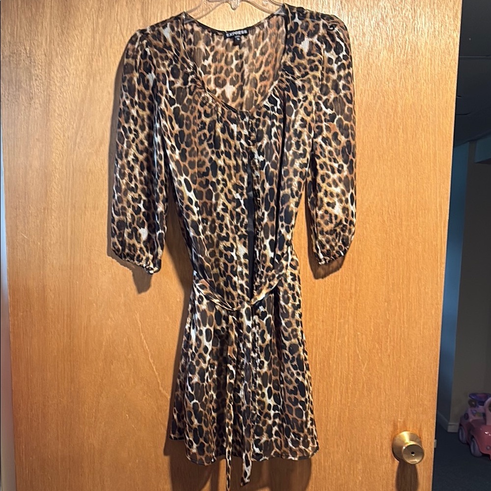 Leopard Print Women's Dress